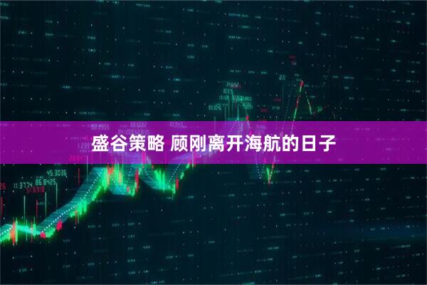 盛谷策略 顾刚离开海航的日子